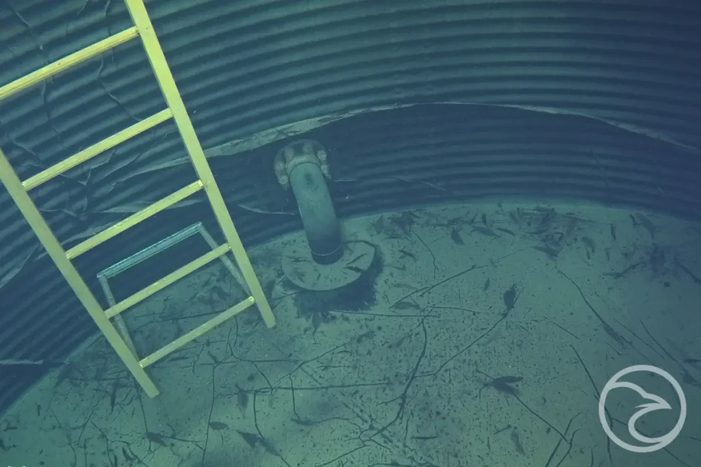 Inspectors checking water storage tank for fire safety compliance