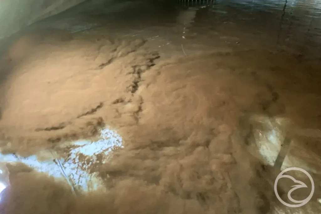 Biological growth resulting from insufficient water tank assessments