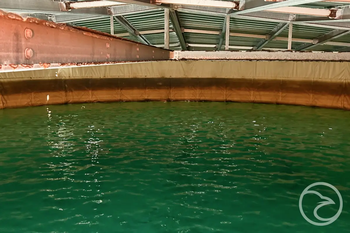 Water quality effects tanks experience through internal surface deterioration